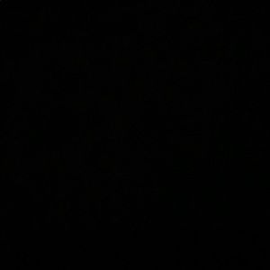 Meet your Posher, Bernard